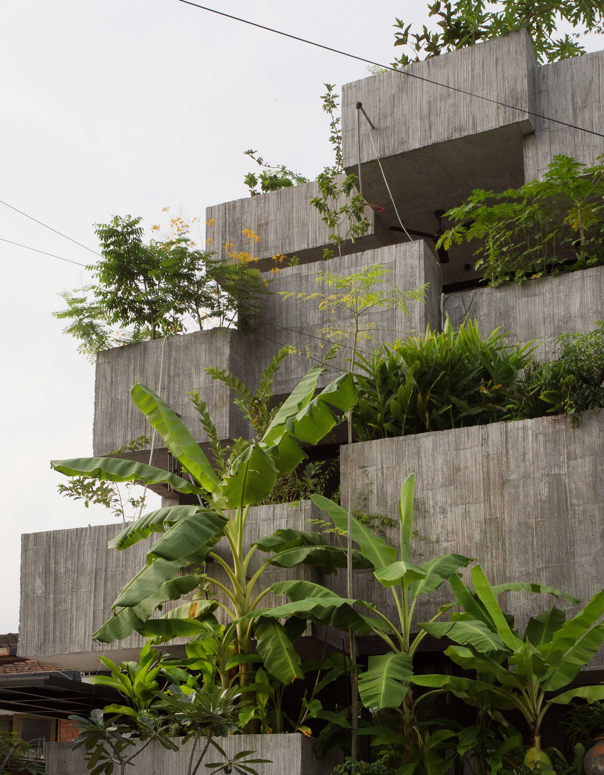 planter box house