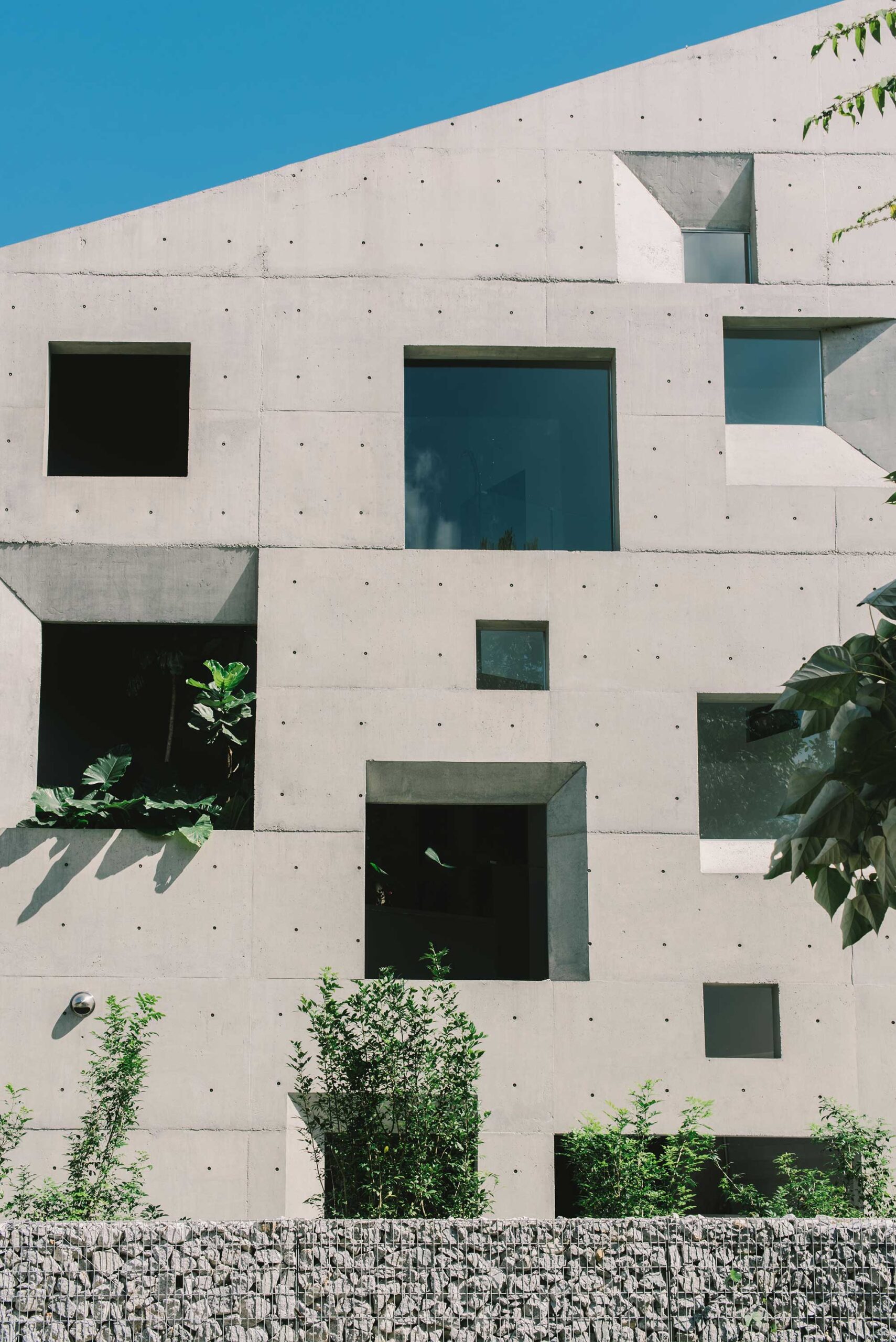 windows house